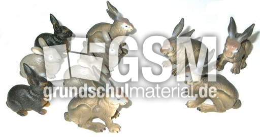 Hasen7+3.jpg